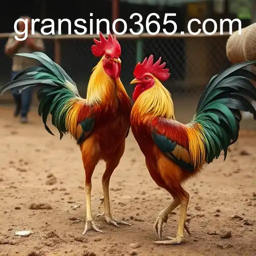 Exploring the World of Sabong Games